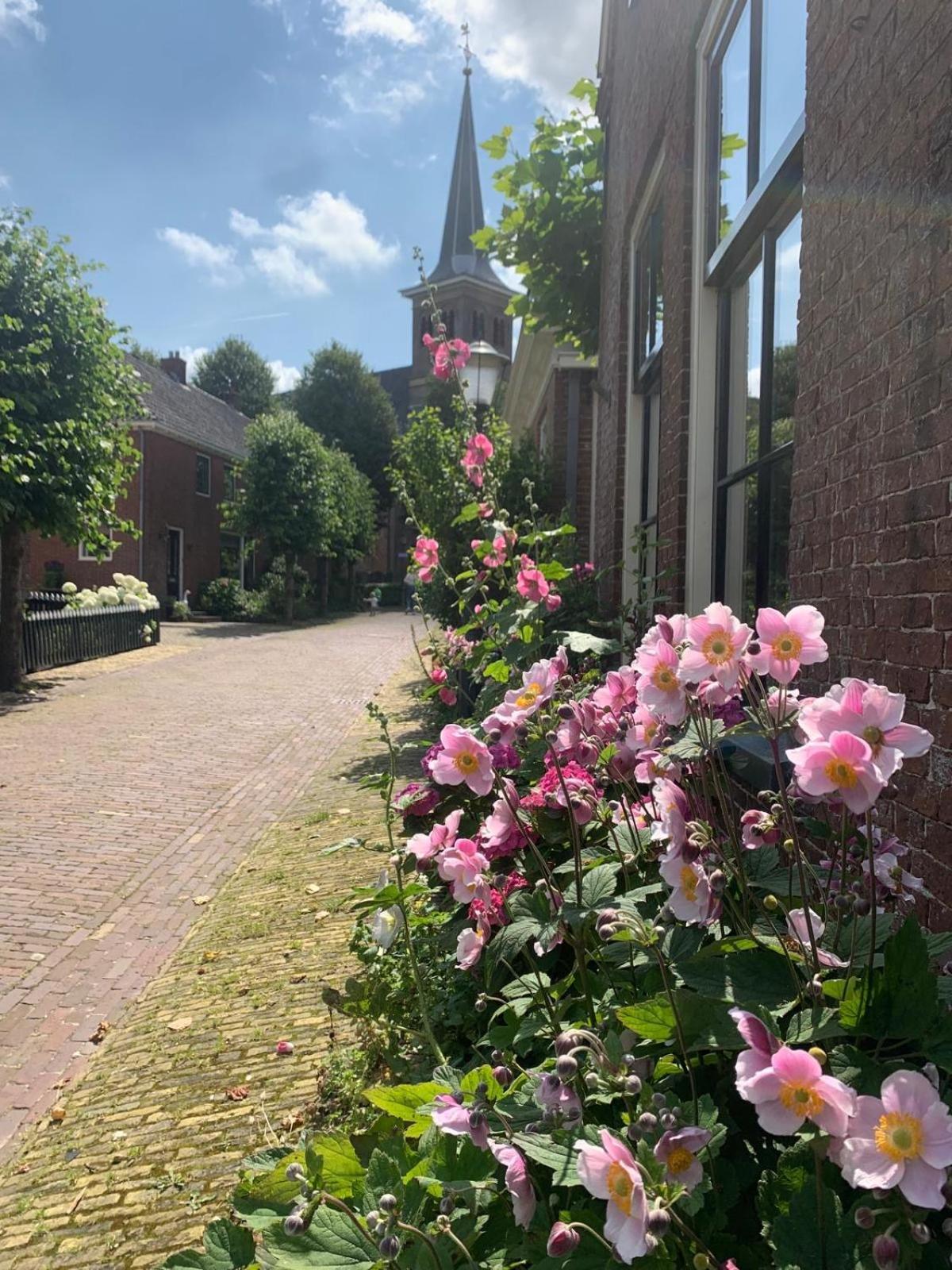 "Het Steechje" In Ie Bij Schiermonnikoog En Ameland Daire Ee Dış mekan fotoğraf
